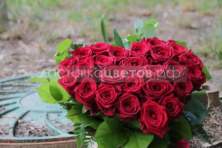 Сердце из 25 красных роз "Цветы с любовью"